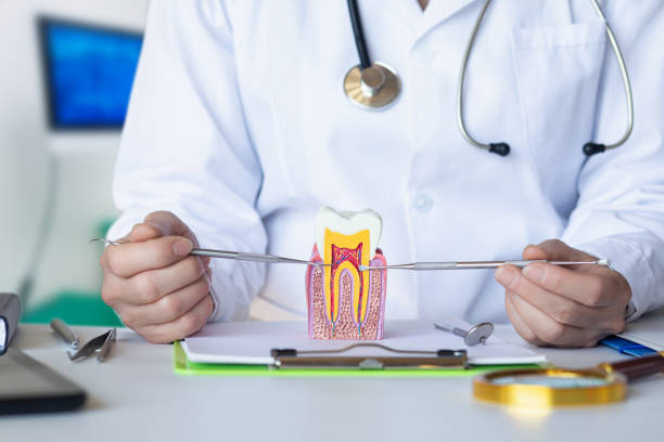 Best Emergency Cosmetic Dentistry in Bret Harte, CA